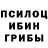 Галлюциногенные грибы Cubensis Sleepy Vania