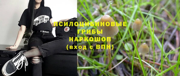 наркотики Богородицк