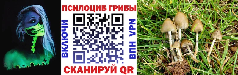 Псилоцибиновые грибы Magic Shrooms Сланцы